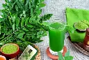 moringa copy.webp